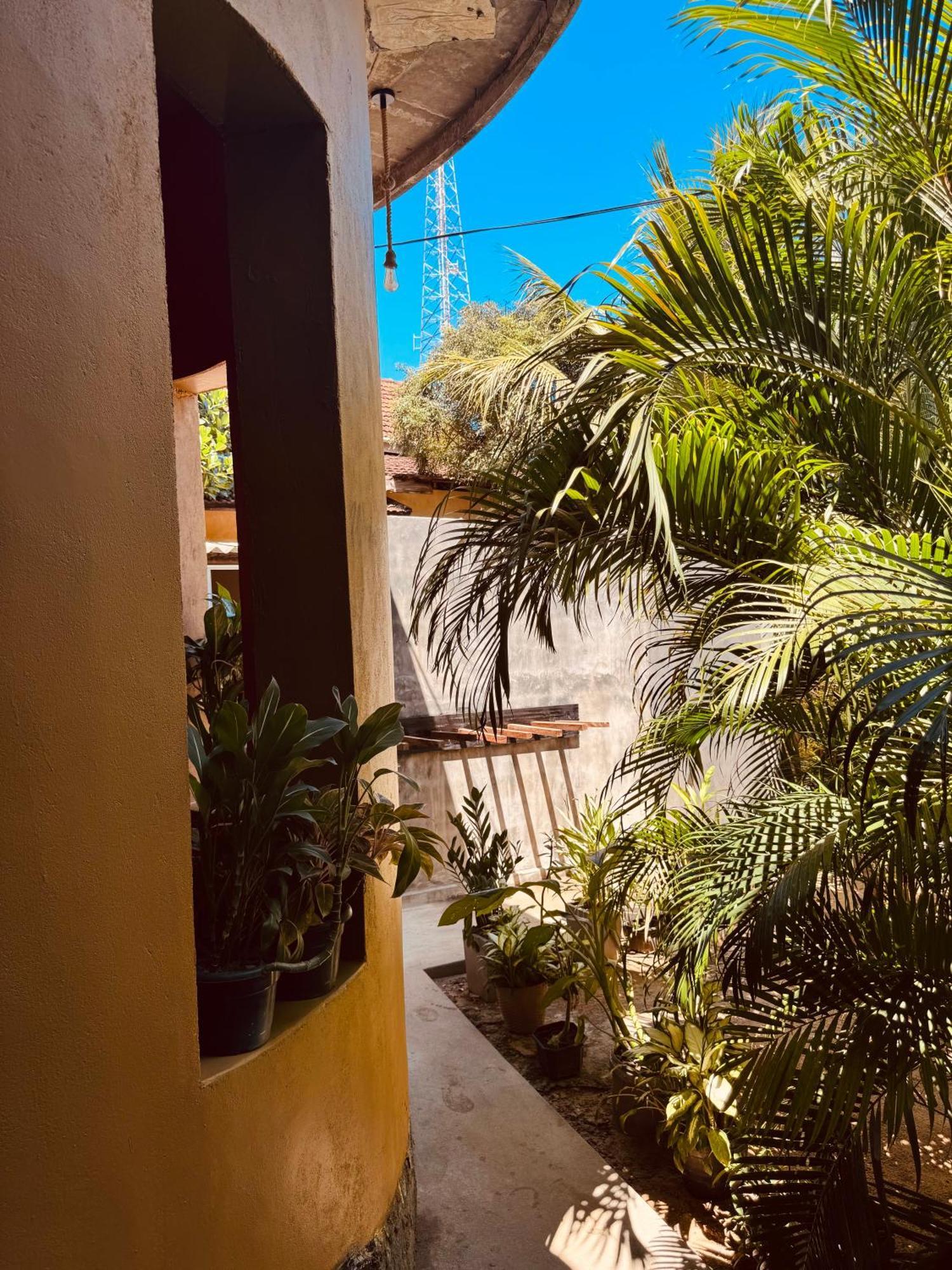 Dreamy Hostel Arugambay アルガムベイ エクステリア 写真