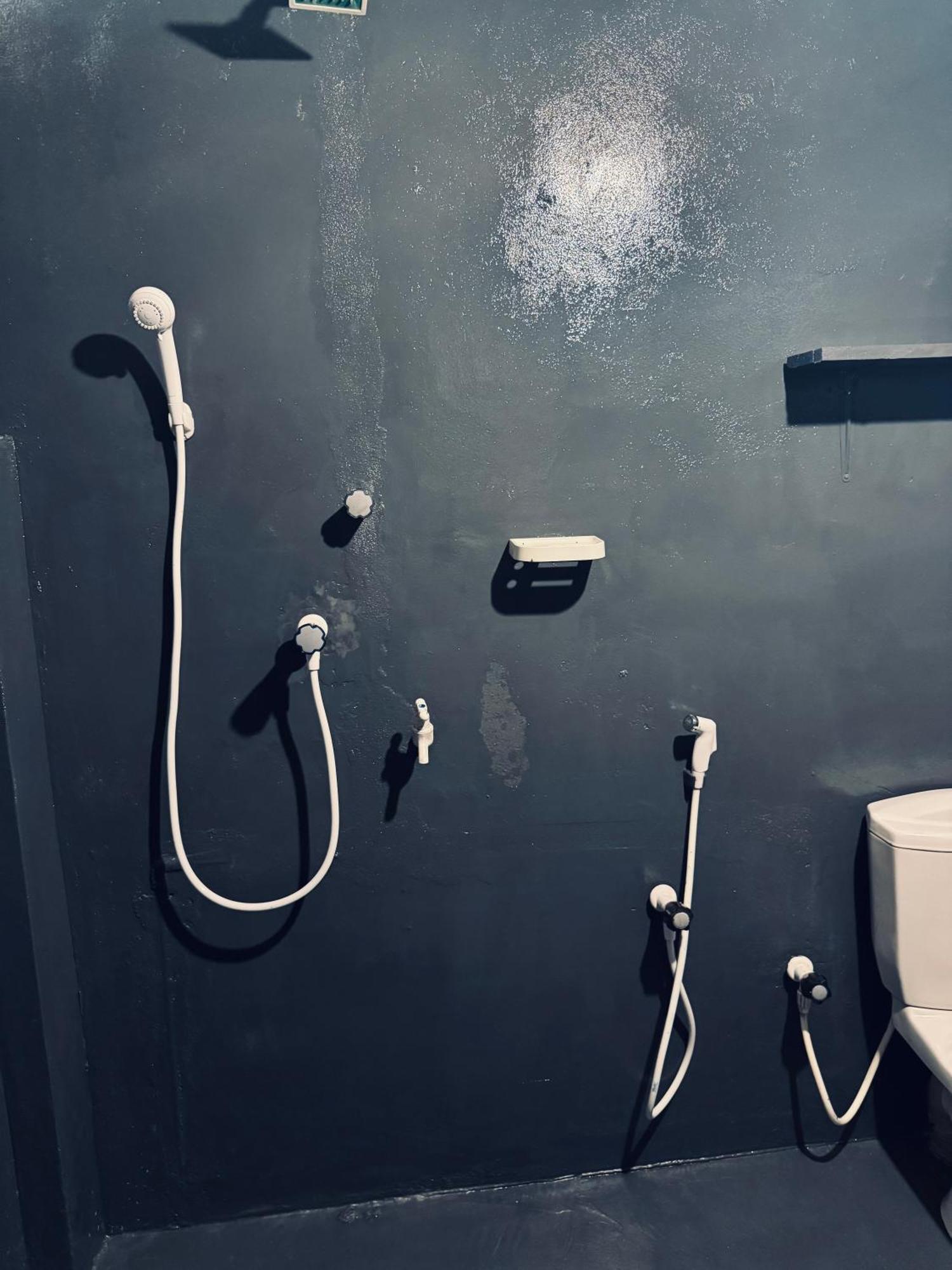 Dreamy Hostel Arugambay アルガムベイ エクステリア 写真